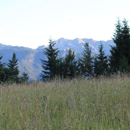 Planinska Hisica Pod Macesni - Bohinj Villa Srednja Vas v Bohinju Dış mekan fotoğraf
